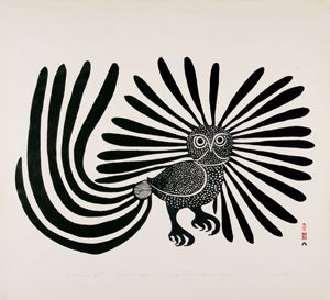 enchanted owl